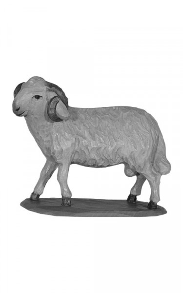 Ram standing