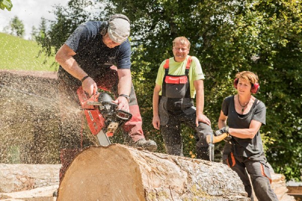 Voucher - Short Course 2½ Days - Chainsaw Carving