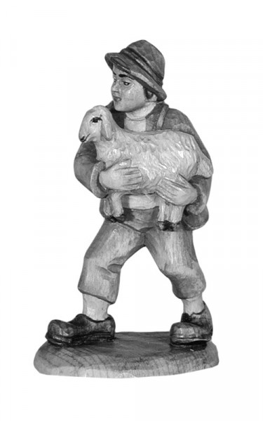 Boy with sheep