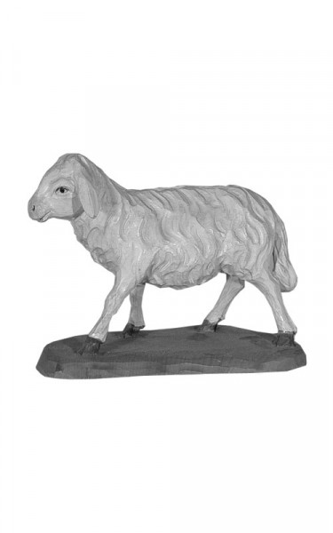 Sheep standing